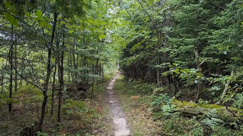 Mason Tract - Roscommon,