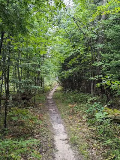 Mason Tract - Roscommon,