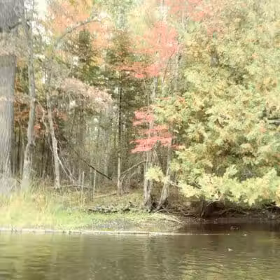 Mason Tract - Roscommon,