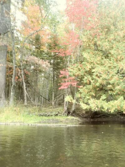 Mason Tract - Roscommon,