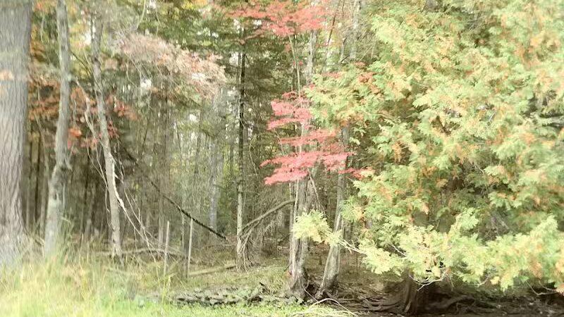 Mason Tract - Roscommon,