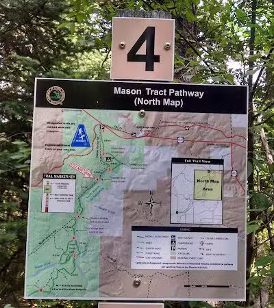 Mason Tract - Roscommon,