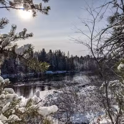 Mason Tract - Roscommon,