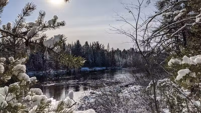 Mason Tract - Roscommon,