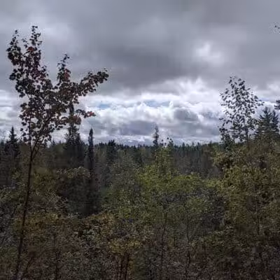 Mason Tract - Roscommon,