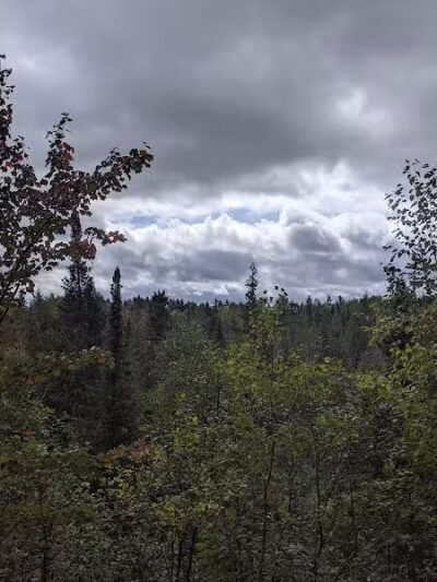 Mason Tract - Roscommon,