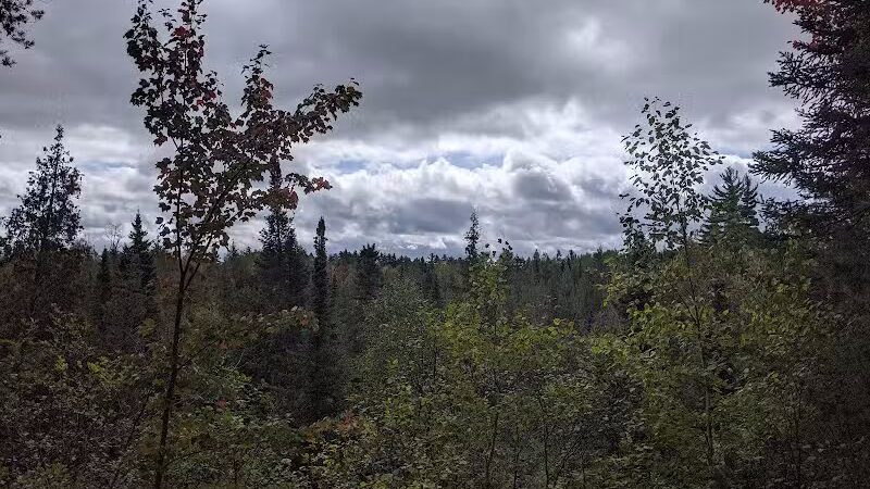 Mason Tract - Roscommon,