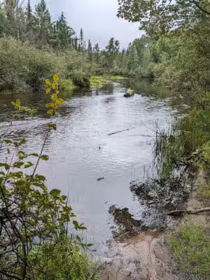 Mason Tract - Roscommon,