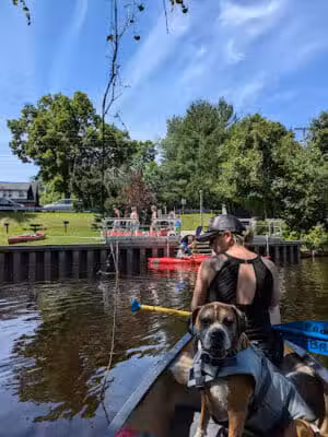 Wallace Park - Roscommon,