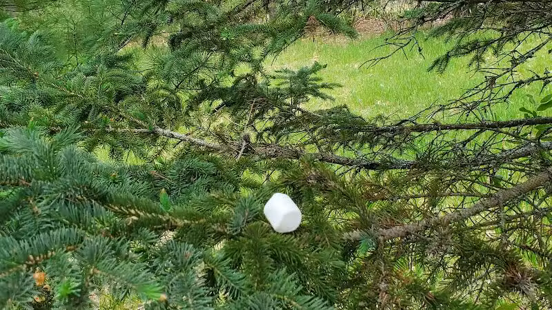 North Higgins Lake State Park - Roscommon, MI