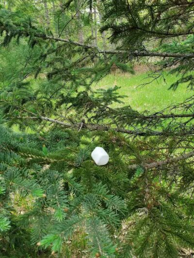 North Higgins Lake State Park - Roscommon, MI