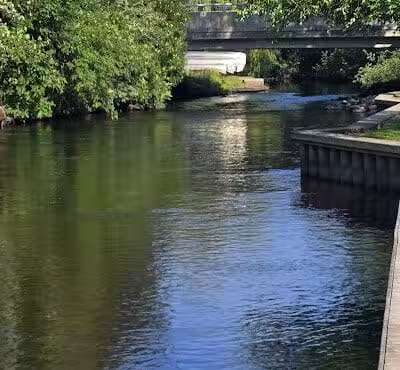 Wallace Park - Roscommon,