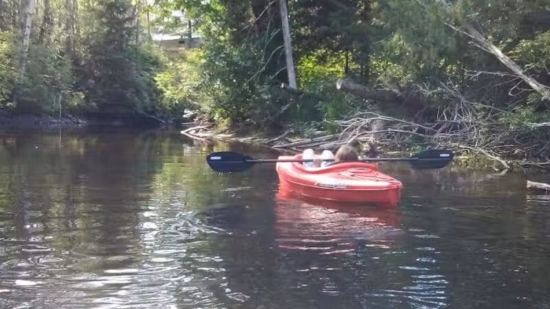 Wallace Park - Roscommon,