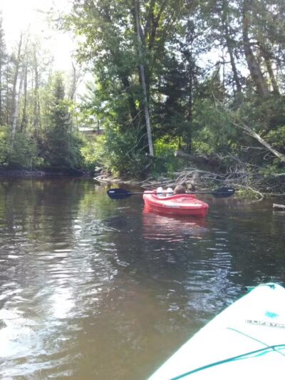 Wallace Park - Roscommon,