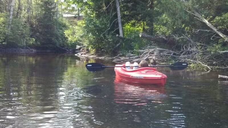 Wallace Park - Roscommon,