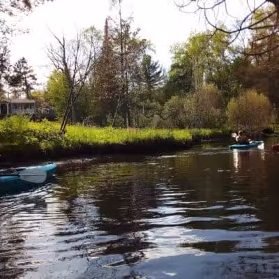 Wallace Park - Roscommon,