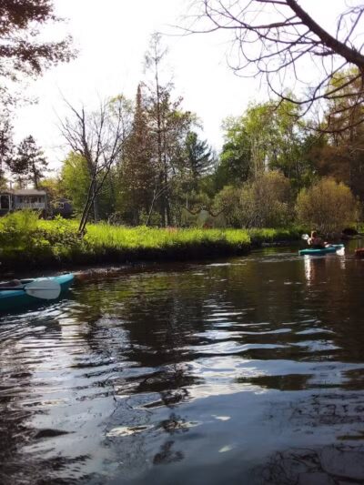 Wallace Park - Roscommon,