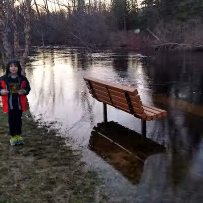 Wallace Park - Roscommon,