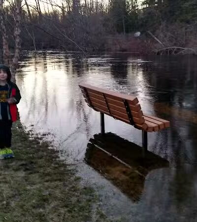 Wallace Park - Roscommon,