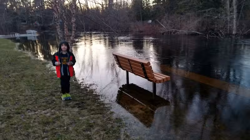 Wallace Park - Roscommon,