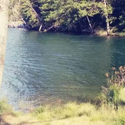 Loon Lake - Rose City,