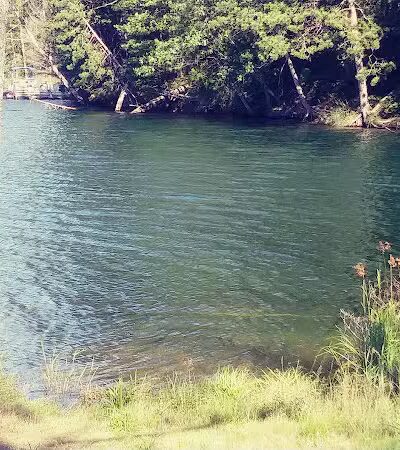 Loon Lake - Rose City,