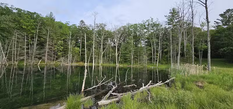 Loon Lake - Rose City,