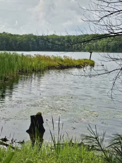 Loon Lake - Rose City,