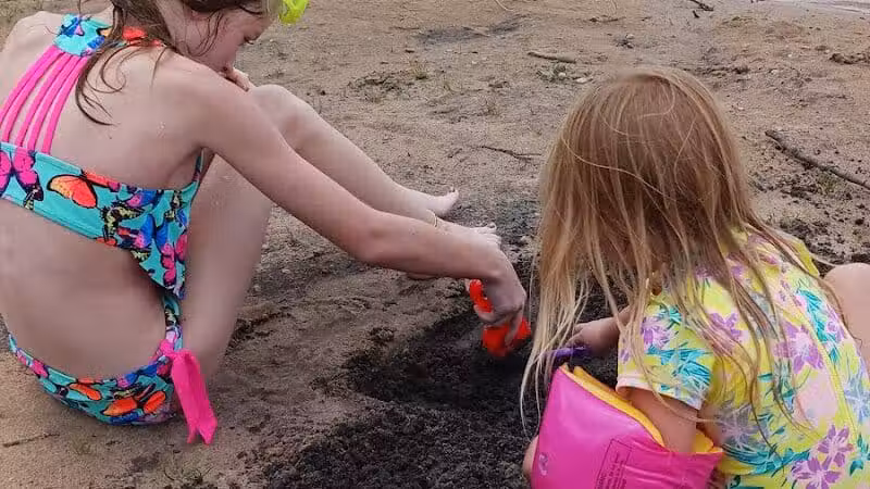 Loon Lake - Rose City,