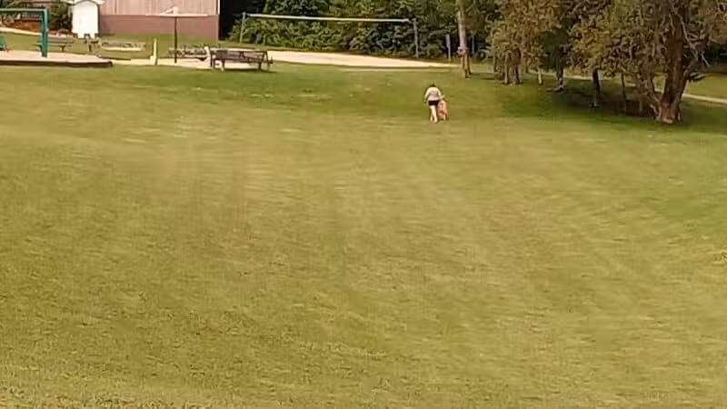 Rose City Park - Rose City,