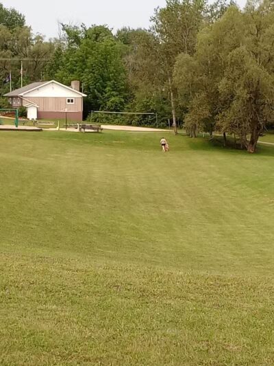 Rose City Park - Rose City,