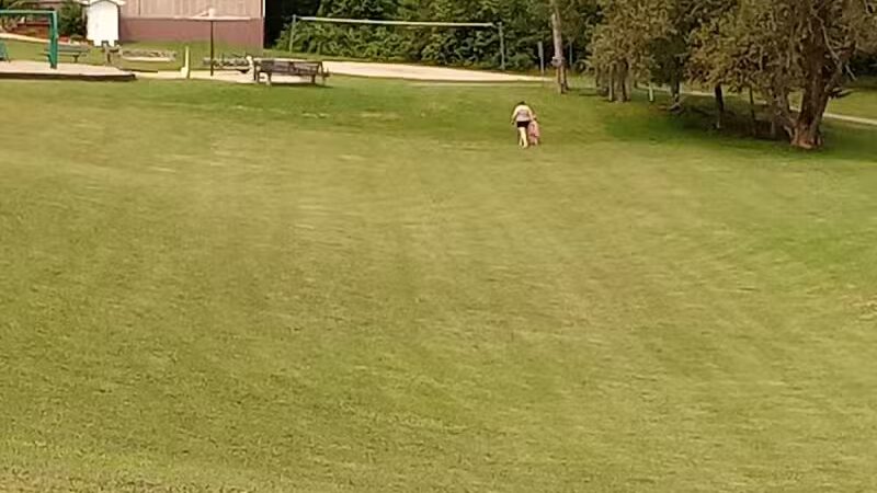 Rose City Park - Rose City,