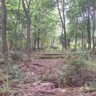 Becker Park - Roseland, NJ
