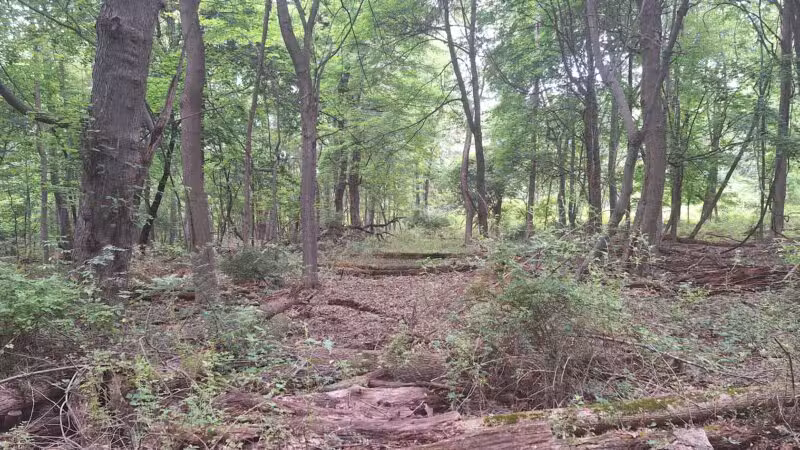 Becker Park - Roseland, NJ