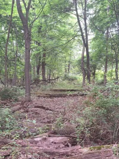 Becker Park - Roseland, NJ