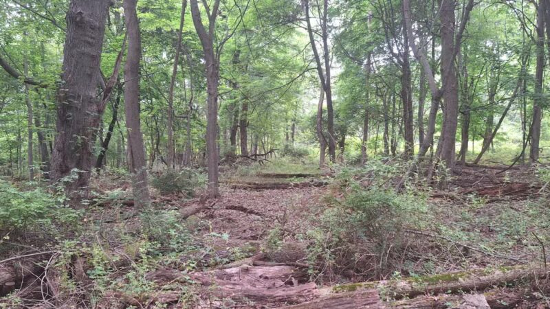 Becker Park - Roseland, NJ