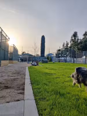Garvey Paws Dog Park - Rosemead, CA