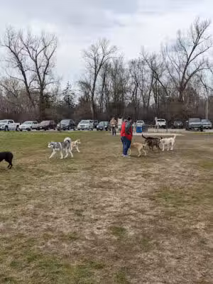 Dakota Woods Dog Park - Rosemount, MN