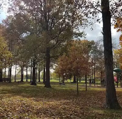 Dooley Park - Roseville,