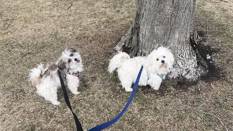 Dooley Trail - Roseville,