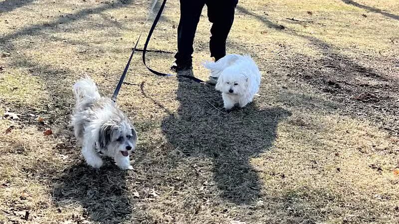 Dooley Trail - Roseville,