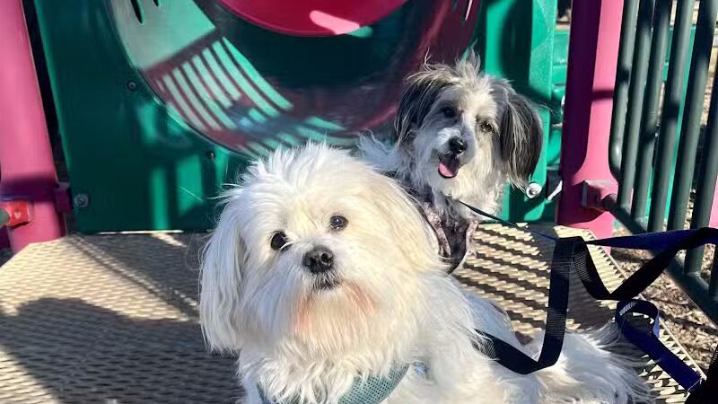 Dooley Trail - Roseville,