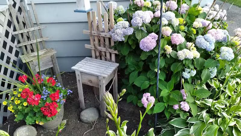 Rotary Park - Roseville,