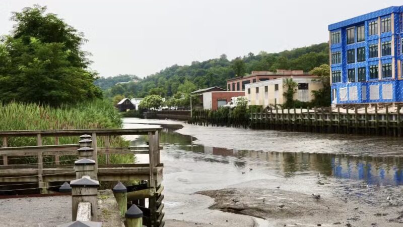 Skillman Street Park - Roslyn, NY