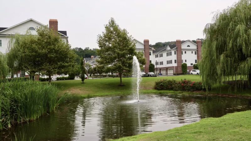 Skillman Street Park - Roslyn, NY