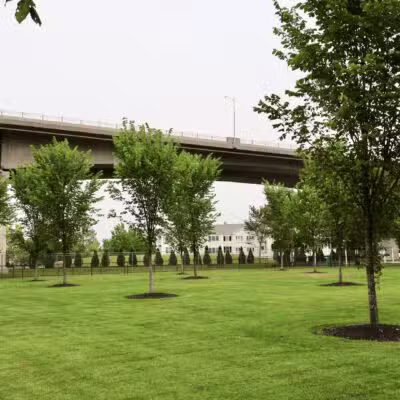 Skillman Street Park - Roslyn, NY