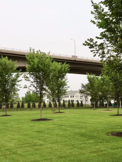 Skillman Street Park - Roslyn, NY