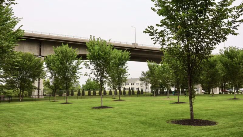 Skillman Street Park - Roslyn, NY