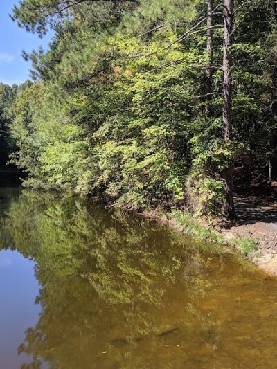 Dog Park at Leita Thompson - Roswell, GA