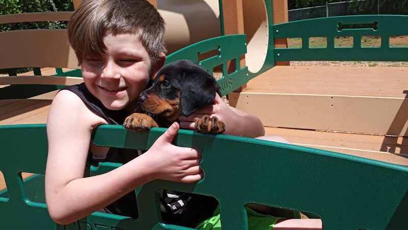 Dog Park at Leita Thompson - Roswell, GA